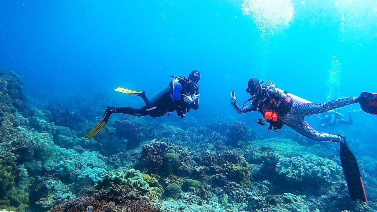 La Tortue Diving Resort Дауин Экстерьер фото