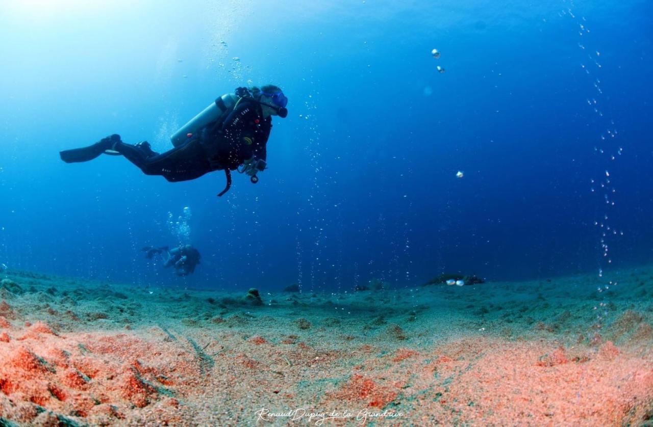 La Tortue Diving Resort Дауин Экстерьер фото