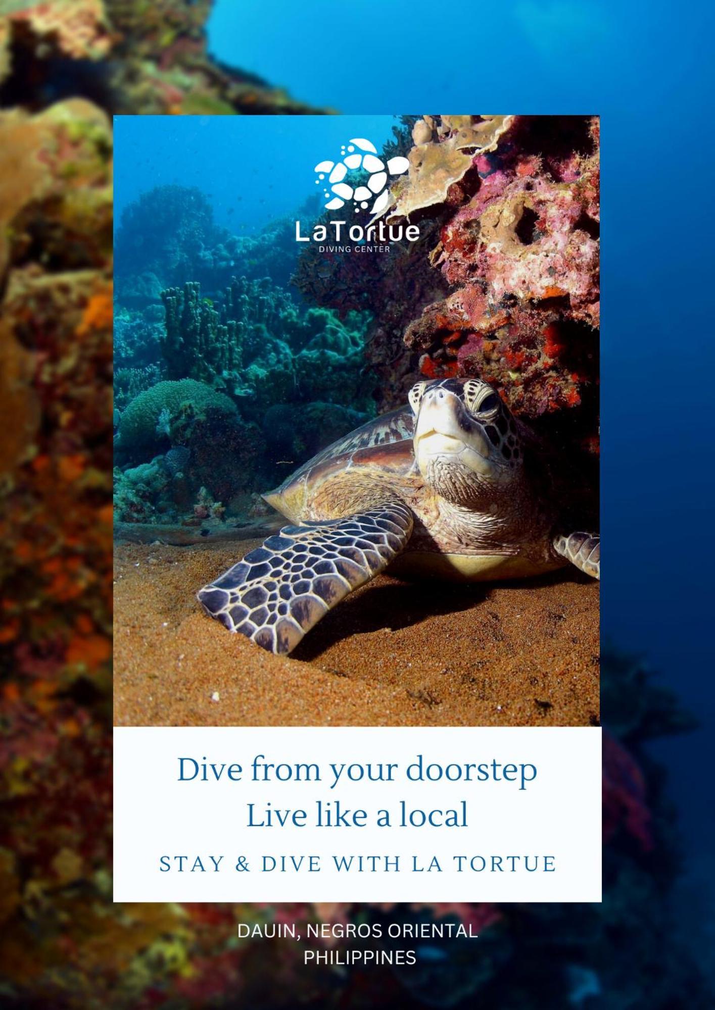 La Tortue Diving Resort Дауин Экстерьер фото